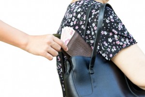woman purse snatcher