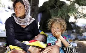 yazidi refugees