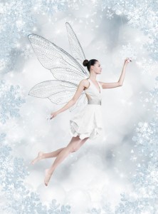 Silver winter fairy