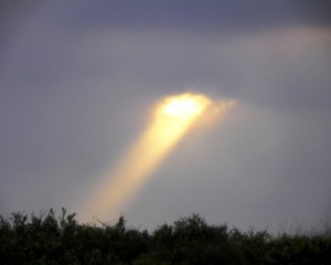 HopeA-Ray-of-Sunshine