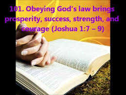 obedience24