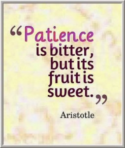 Patience (2)