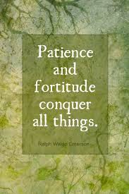 Patience Fortitude 2