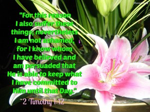 Suffering, 2 Timothy 1_12