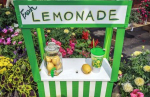 21735979 - charming fresh lemonade stand with jar full of lemons  garden design