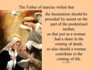 Predestination Mary's ccc 488 1
