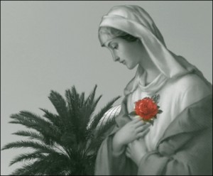 Mary Blessed-mother1Avangelista