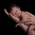Newborn Baby Held in Father"s Arm and Hands