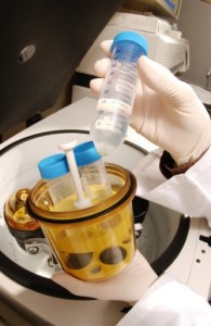 lab worker